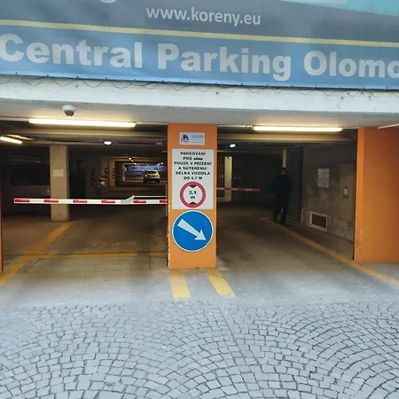 Dobrovskeho Olomouc