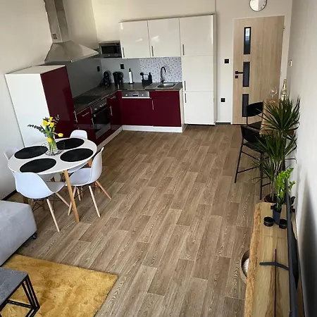 Apartament Dobrovskeho Ołomuniec