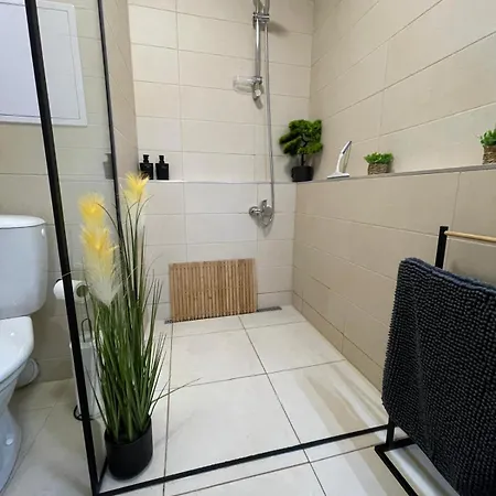 Apartment Dobrovskeho *