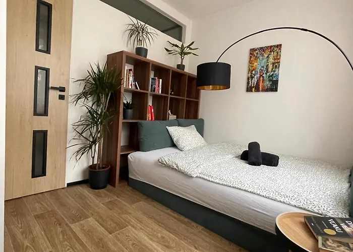 Dobrovskeho Apartman *